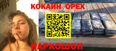 гашик Сланцы