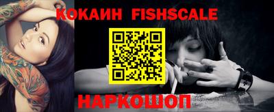 гашик Сланцы