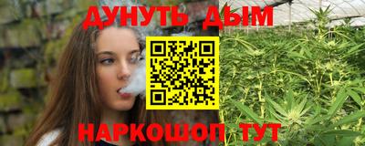 гашик Сланцы