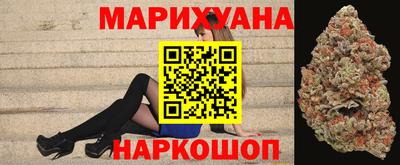 сатива Славгород