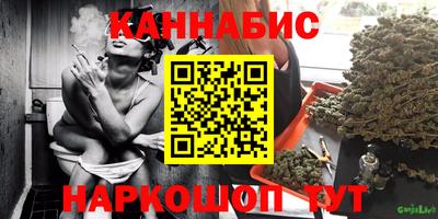 гашик Сланцы