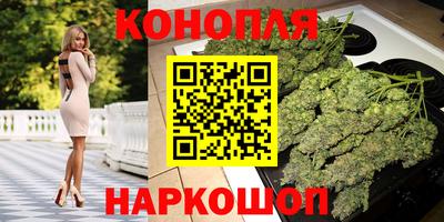 гашик Сланцы