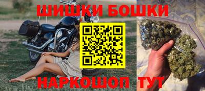 гашик Сланцы