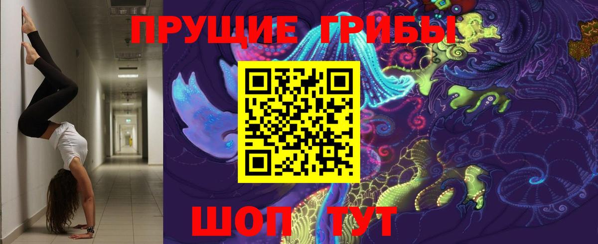 Алапаевск  Галлюциногенные грибы Cubensis  Вход с VPN 