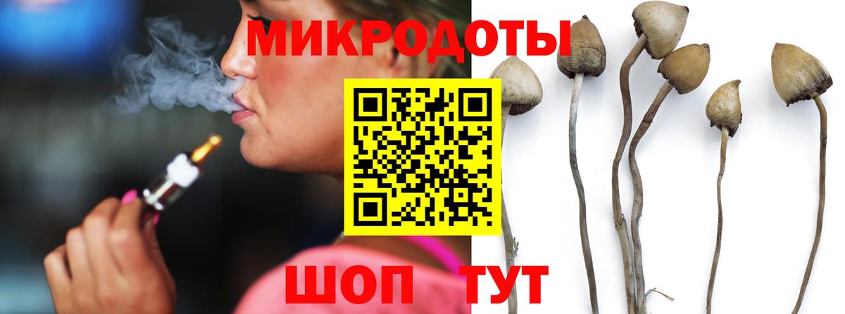 Галлюциногенные грибы GOLDEN TEACHER Алапаевск